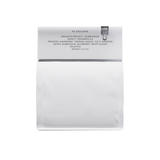 ENCANTO PROJECT | BUBBLE GUM